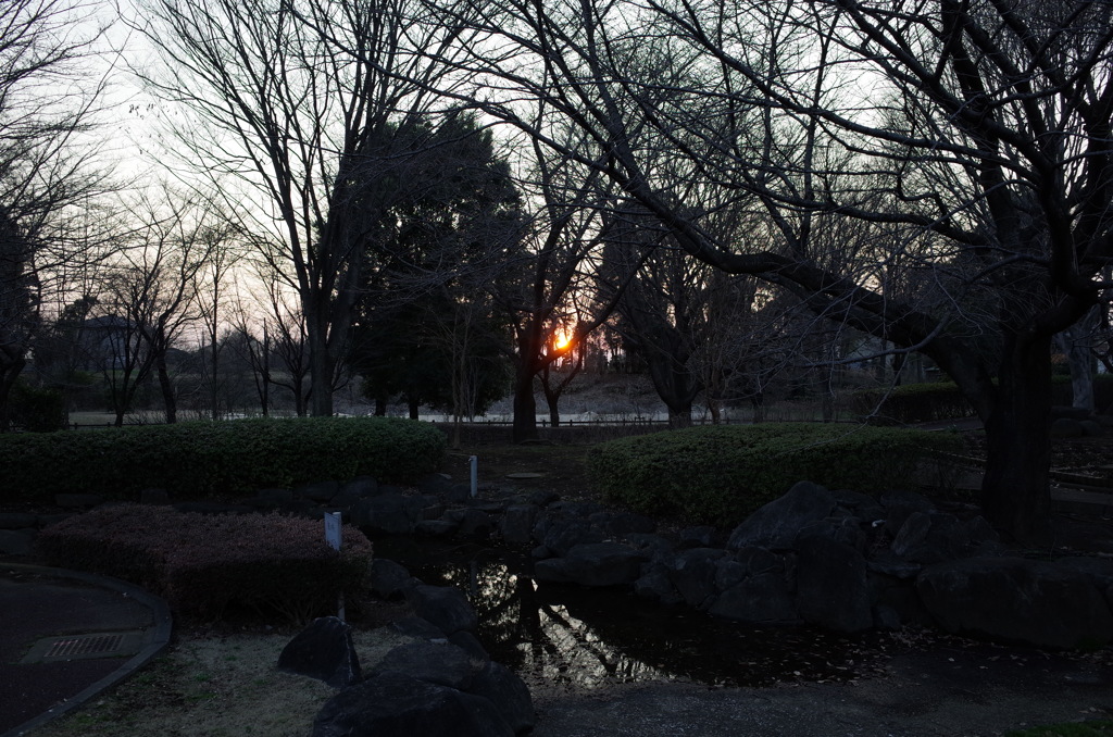 2016/02/27_花の丘農林公苑の夕暮れ