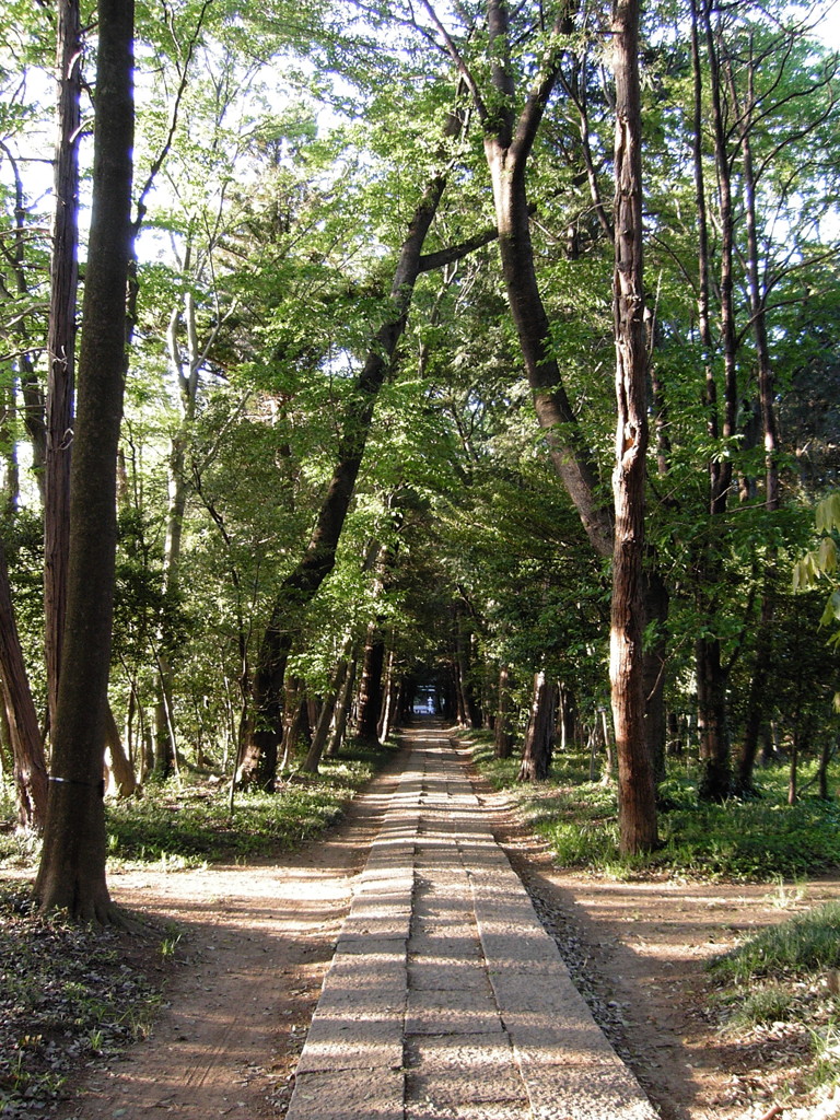 2017/05/04_神明神社参道
