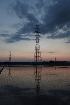 2016/06/05_水田の夕暮れ