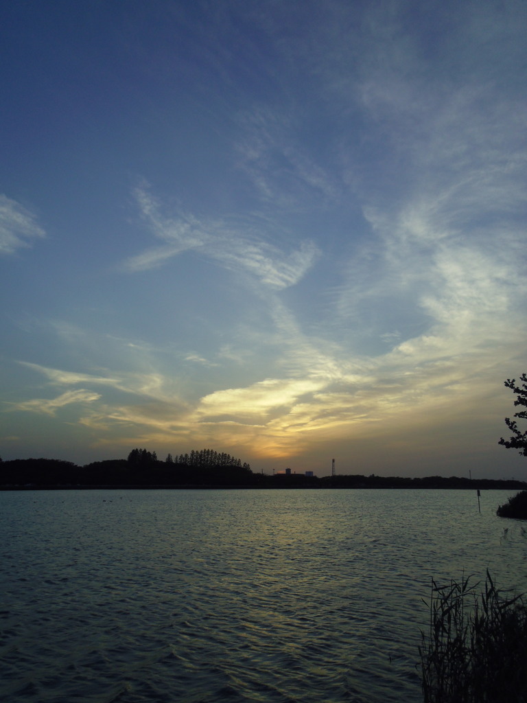 2016/05/07_伊佐沼の夕暮れ