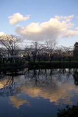 2015/11/03_岩槻城址公園