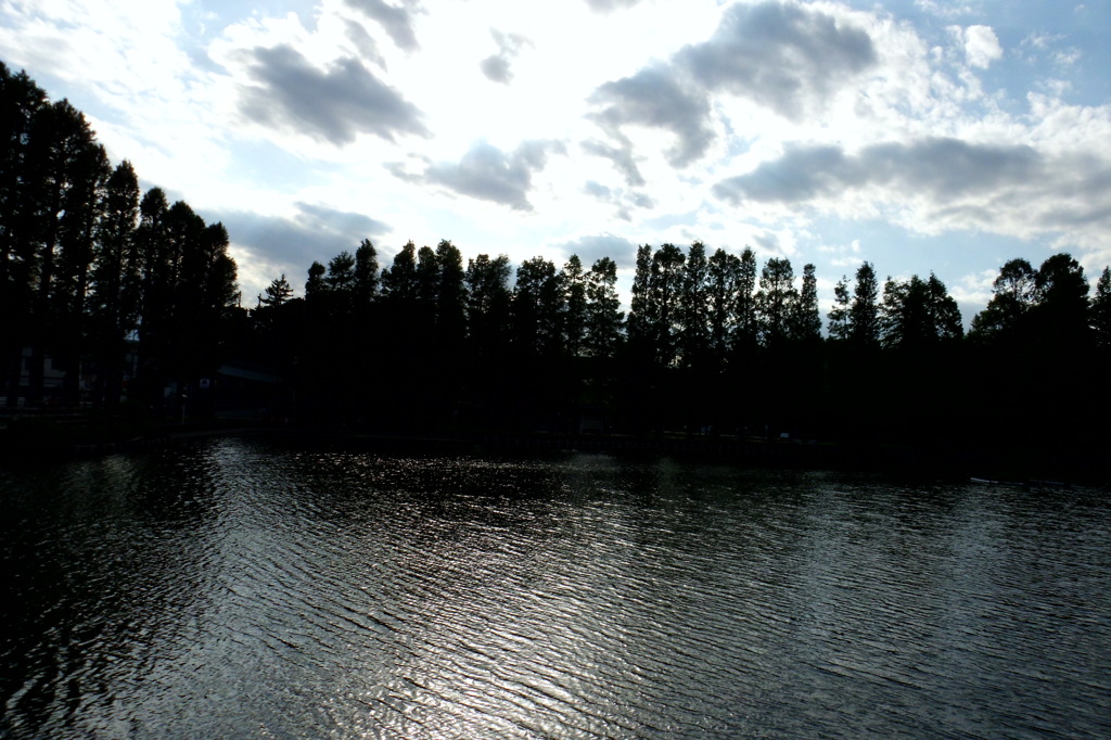 2014/05/18_別所沼公園