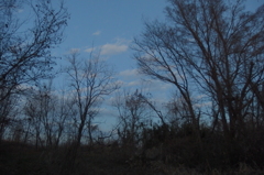 2016/01/10_夕空
