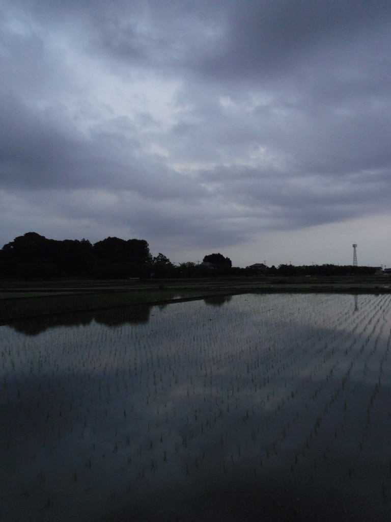 2017/05/27_水田の曇天