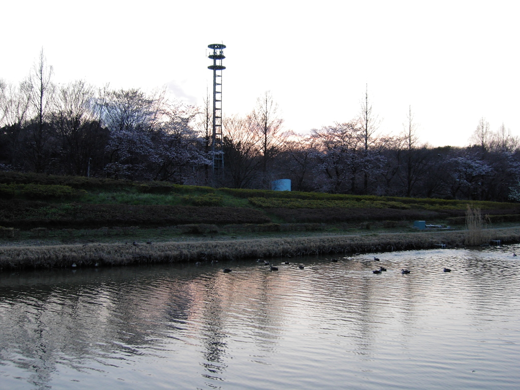 2017/04/02_花の丘農林公苑の夕暮れ