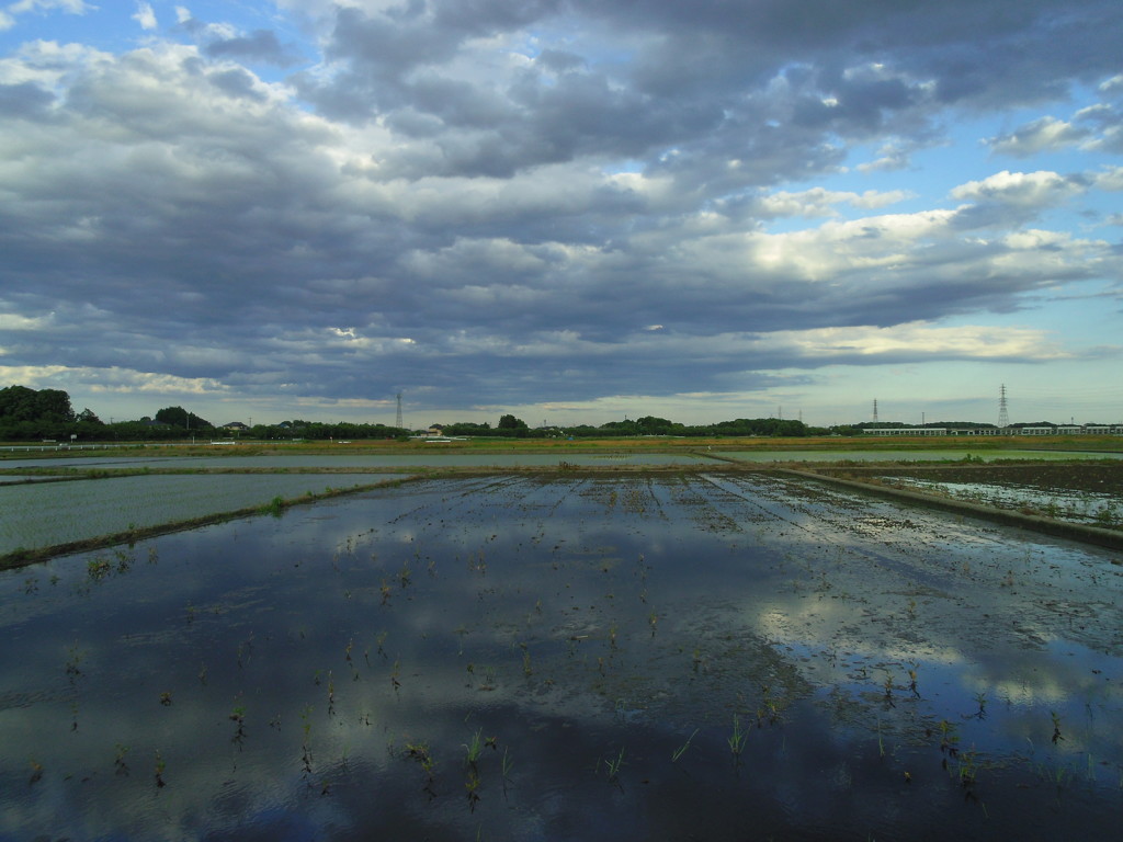 2017/06/04_水田に雲
