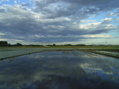 2017/06/04_水田に雲