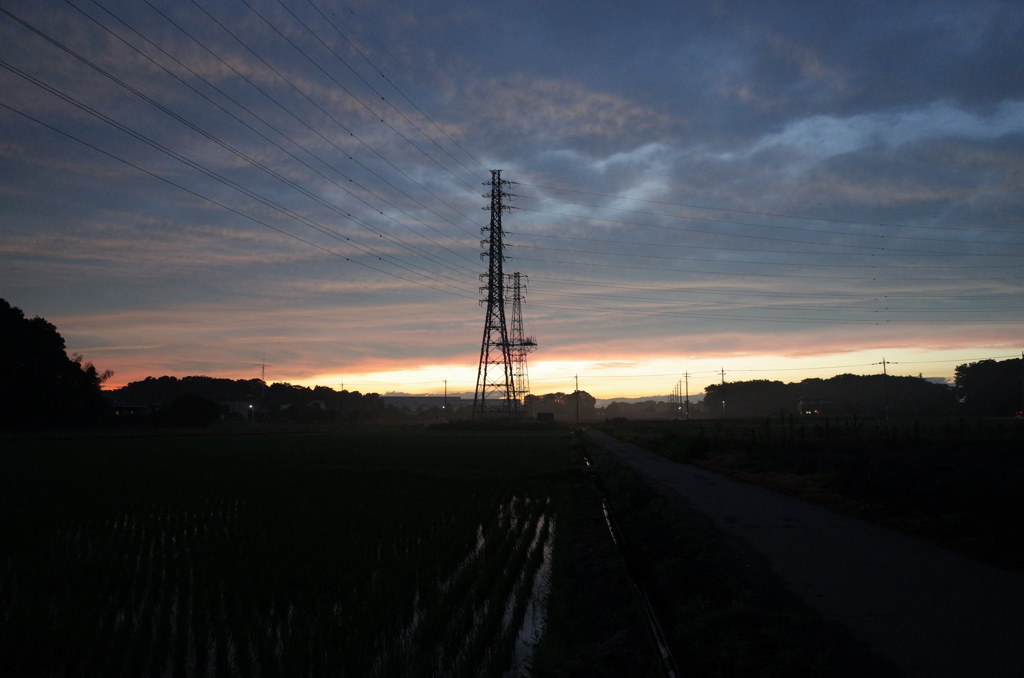 2015/06/27_水田の夕暮れ