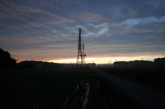 2015/06/27_水田の夕暮れ