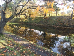 2016/11/14_弘前公園 外濠