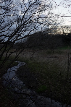 2016/03/26_北本自然観察公園