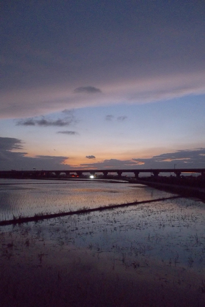 2015/06/28_水田の夕暮れ