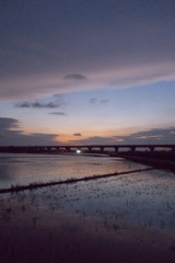 2015/06/28_水田の夕暮れ