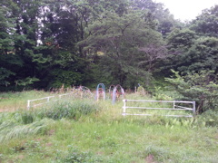 2016/07/17_小鹿公園の廃遊具