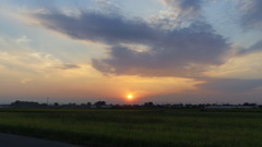2013/09/21_夕暮れの田んぼ（オート）