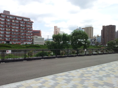 2018/07/14_木伏緑地