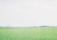 2017/08/05_田園