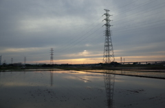 2015/05/31_水田の夕暮れ