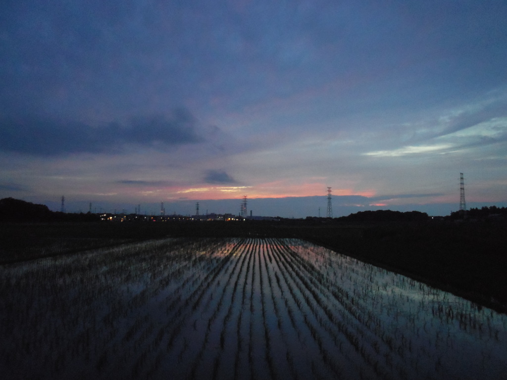 2017/06/25_水田の夕暮れ