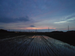 2017/06/25_水田の夕暮れ