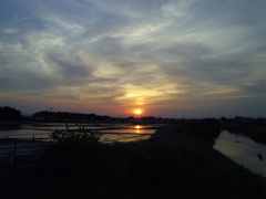 2017/05/21_水田の夕暮れ