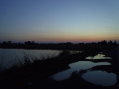 2017/04/15_水溜まりと溜め池の夕暮れ