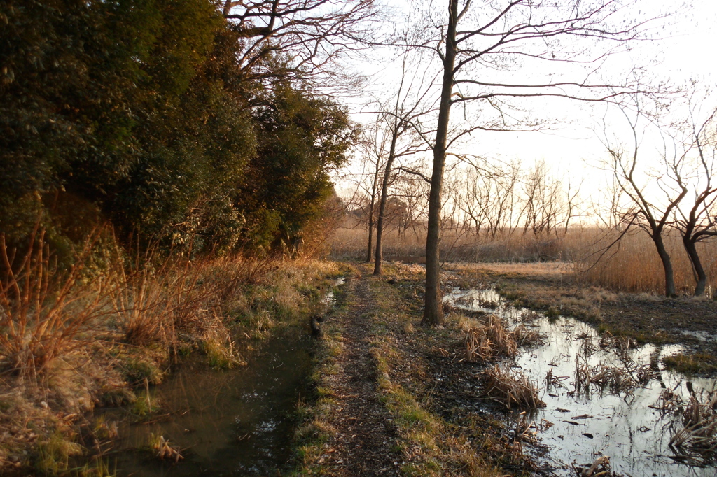 2015/02/11_ホタルの里