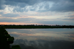 2016/06/26_水田の夕暮れ