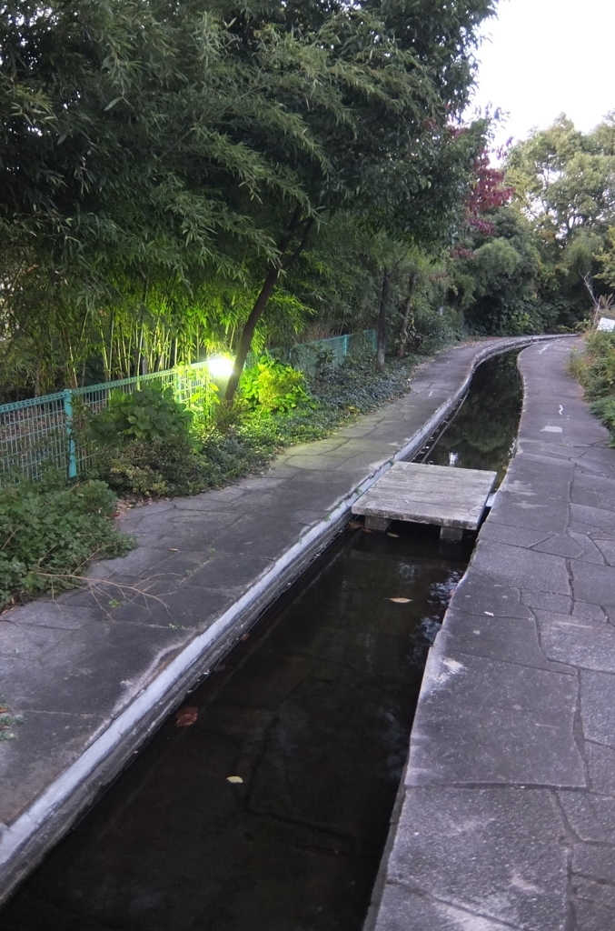 2014/11/15_夕暮れの鴨川みずべの里