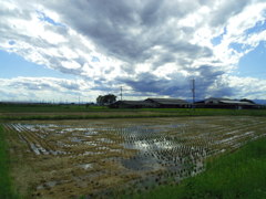 2017/09/18_水田に雲