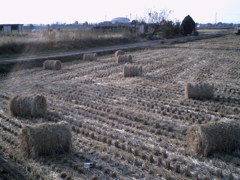 2015/11/01_藁ロール