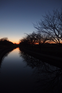 2015/12/26_見沼代用水の夕暮れ