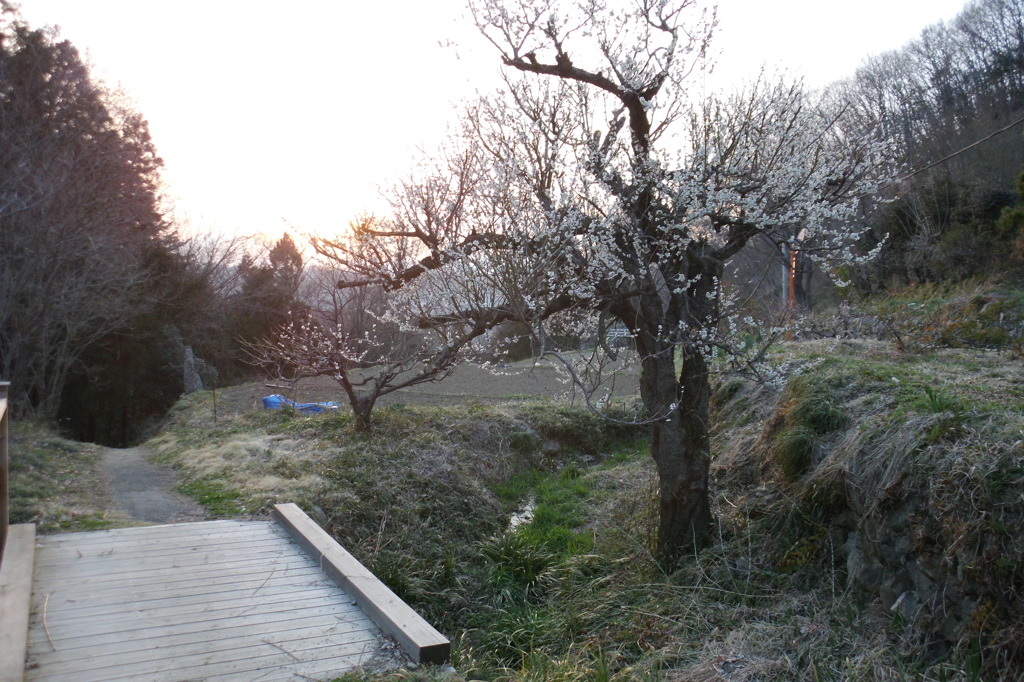 2014/03/29_山里の夕暮れ