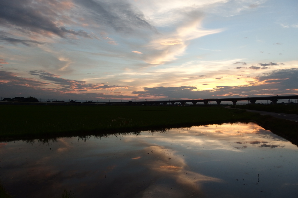 2015/07/19_水田の夕暮れ