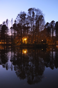 2014/12/14_夕暮れの別所沼公園
