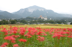 2015/09/21_寺坂棚田の彼岸花と武甲山