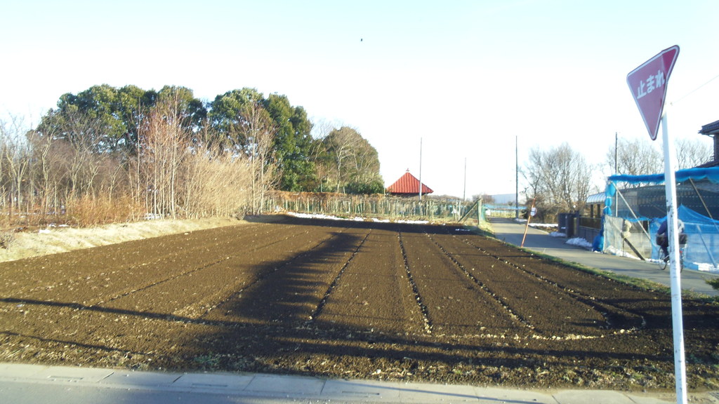 2013/01/20_畑の向こうに観音堂