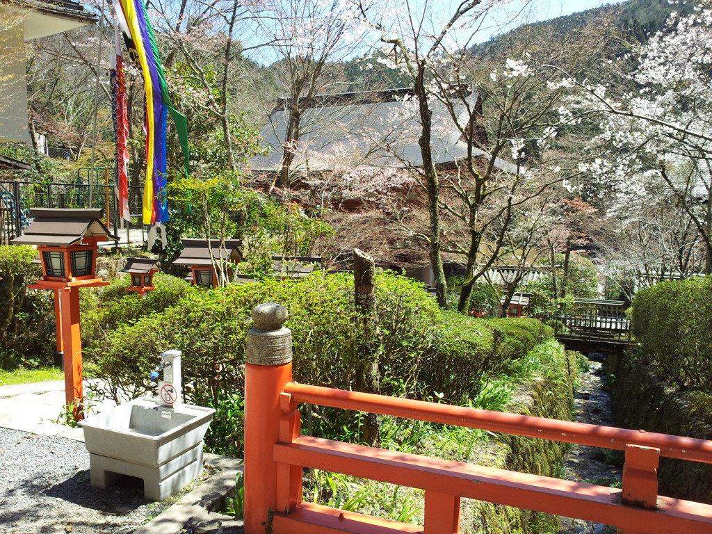 2019/04/13_鞍馬寺 参道