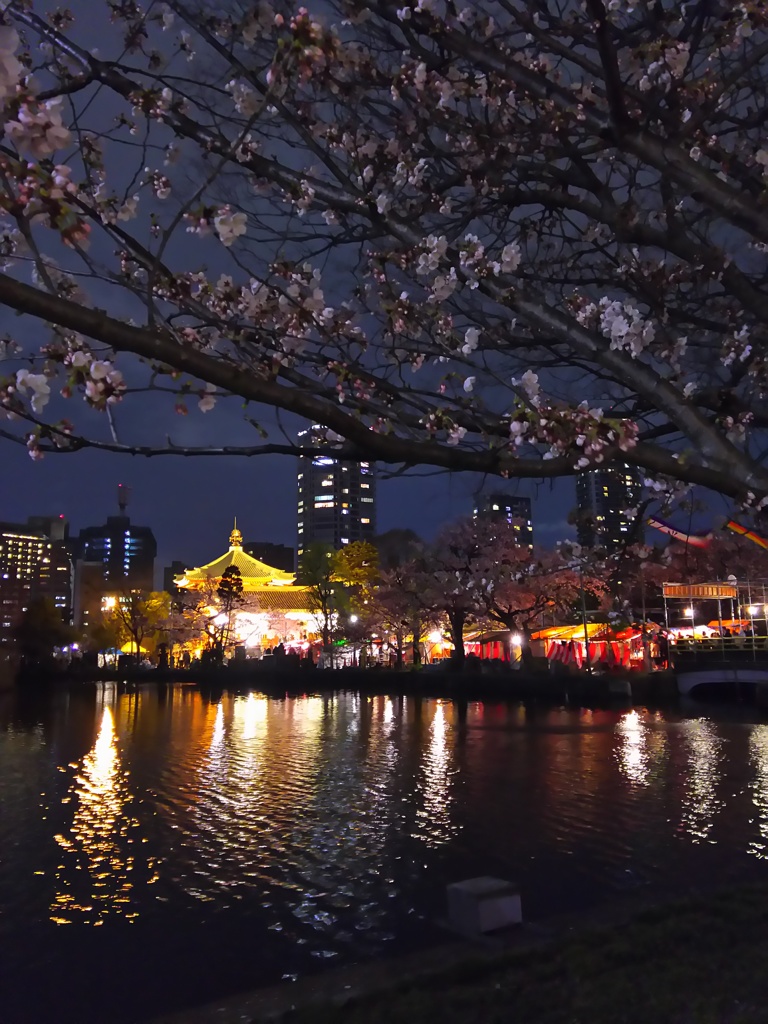 2017/04/06_夜の上野公園