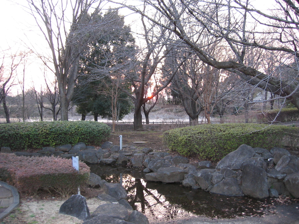 2016/02/27_花の丘農林公苑の夕暮れ