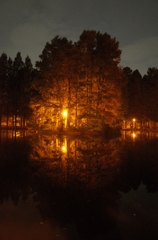 2014/11/02_夜の別所沼公園