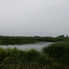 2014/08/09_（裏）さきたま古墳公園