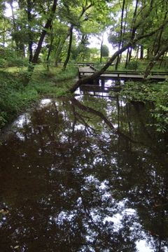 2015/07/05_伊奈町制施行記念公園