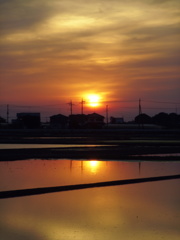 2017/05/21_水田の夕日