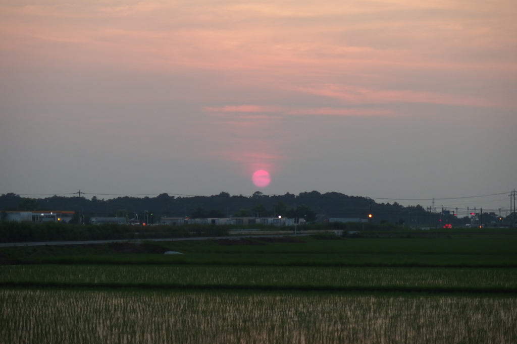 2015/07/12_夕日