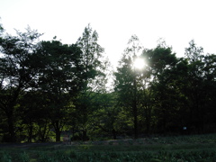 2017/04/30_花の丘農林公苑