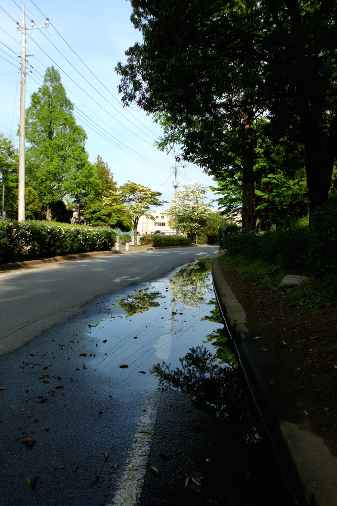 2015/04/29_伊奈町制施行記念公園の水たまり