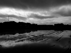 2017/05/14_水田の曇天