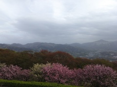 2018/04/16_美の山公園からの眺め