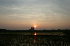 2015/07/12_水田の夕暮れ